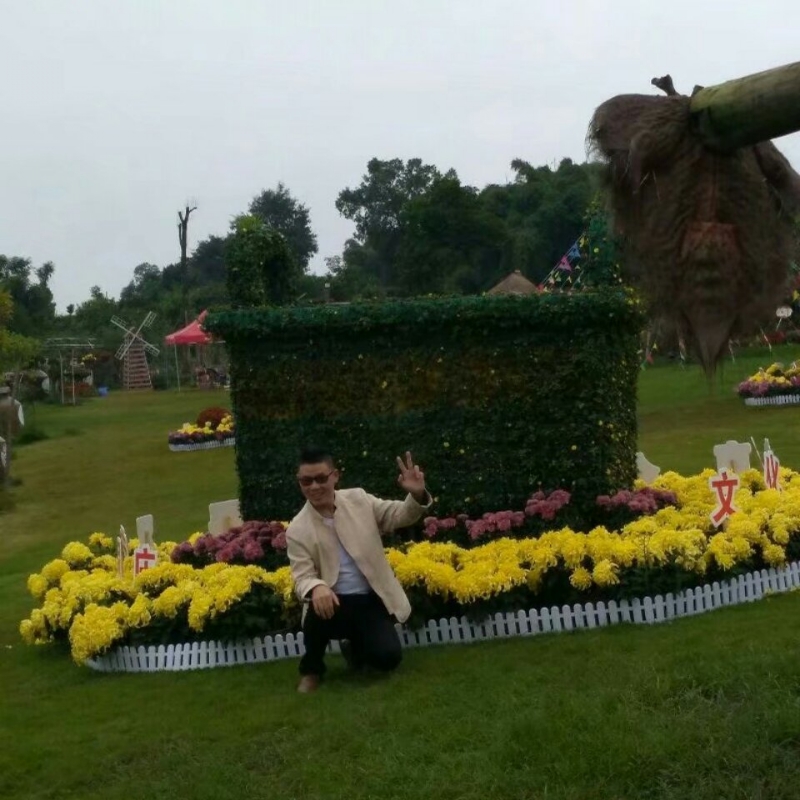 春风里^O^任徜徉的第一张照片--重庆蓝颜知己交友网